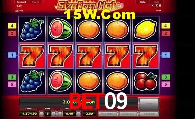 Sistemas de Segurança Bet09